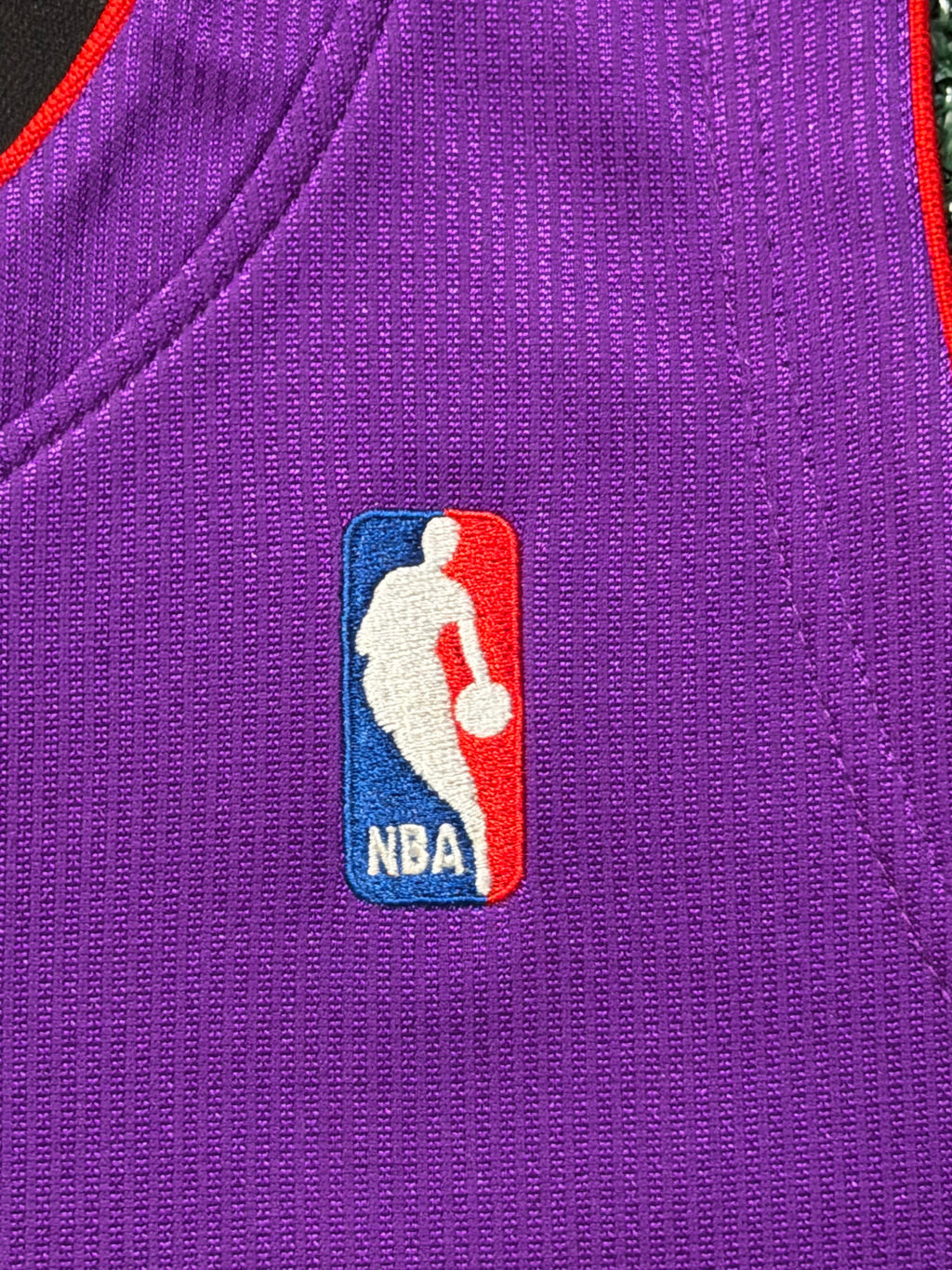 Vince Carter Toronto Raptors Jersey #15 Mitchell & Ness Authentic Purple Size 44 (L) NBA