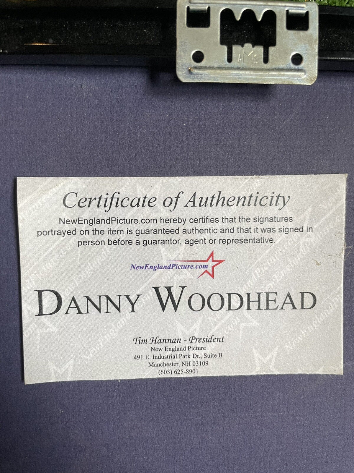 Danny Woodhead New England Patriots Autographed Framed Picture 11x14 (COA)